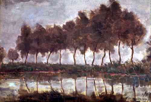trees along the gein